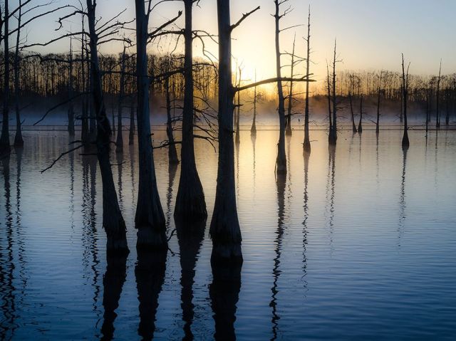 Jan 18 black-bayou-lake-louisiana_87528_990x742