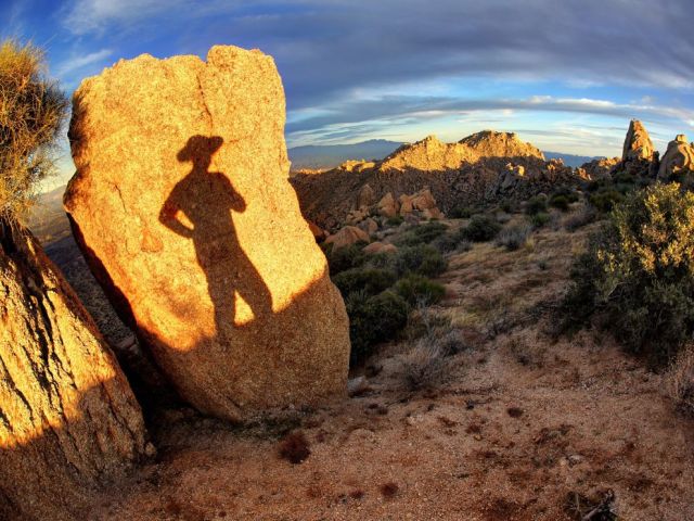 Mar 16 self-portrait-shadow-desert_88867_990x742