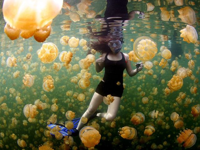 May 2 underwater-girl-jellyfish_89910_990x742